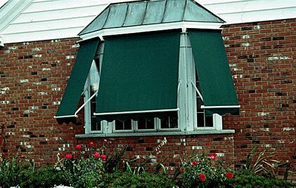 vertical awning for windows